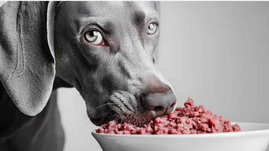 Raw Pet Food Myths Unleash the Truth!